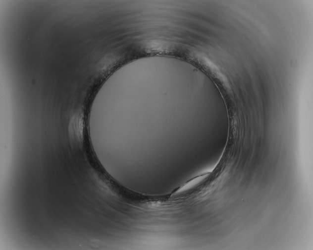 X0000094210637200711091238