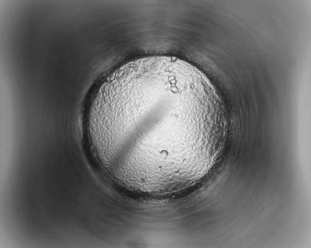 X0000094210638200711091238