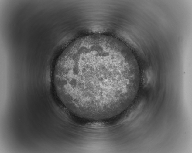X0000094210639200711091238