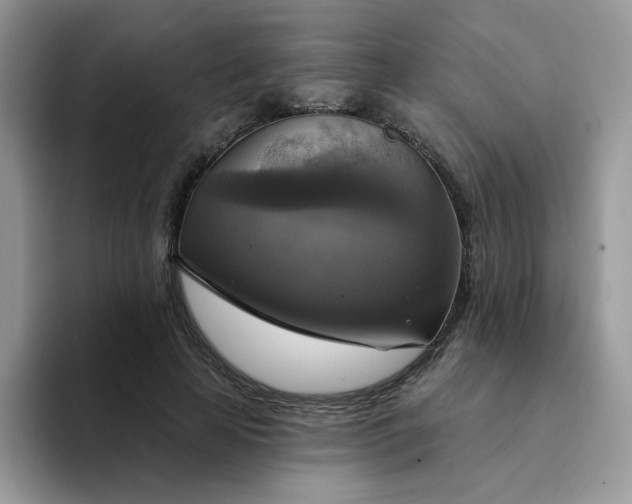 X0000094210641200711091238