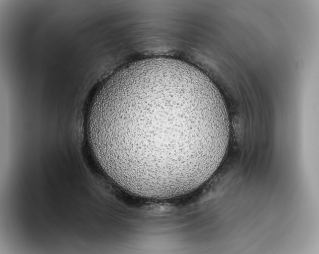 X0000094210642200711091238