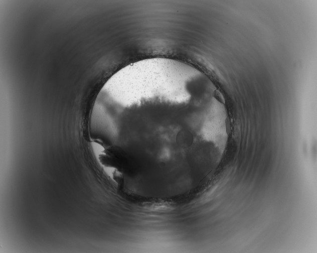 X0000094210643200711091238