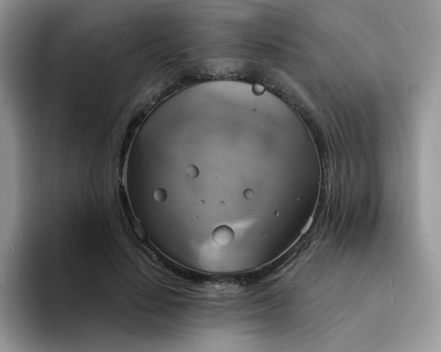 X0000094210644200711091238