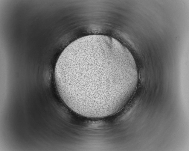 X0000094210645200711091238