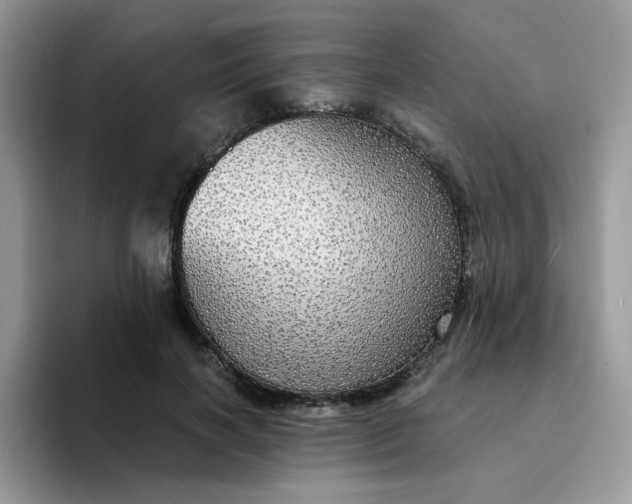 X0000094210646200711091238