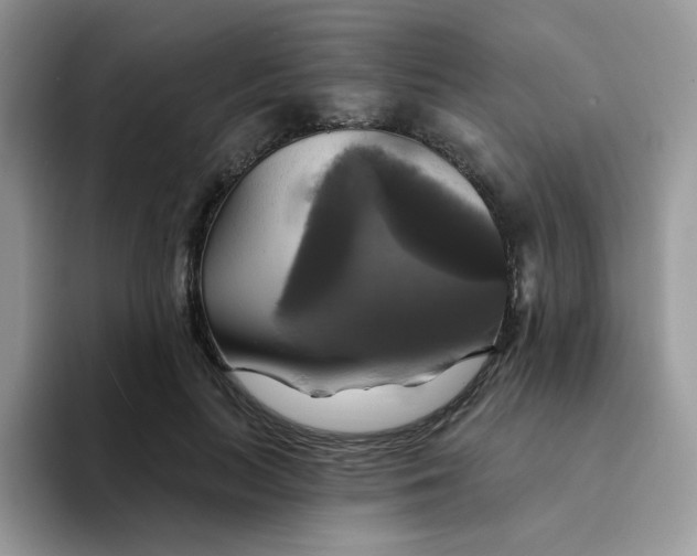 X0000094210647200711091238