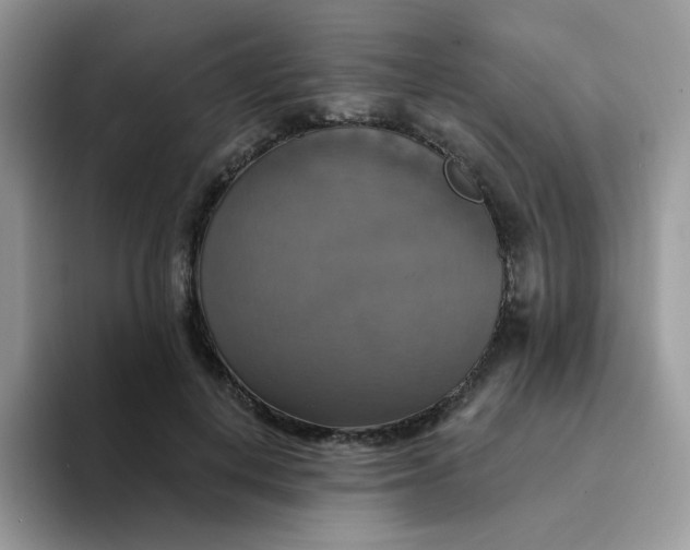 X0000094210648200711091238