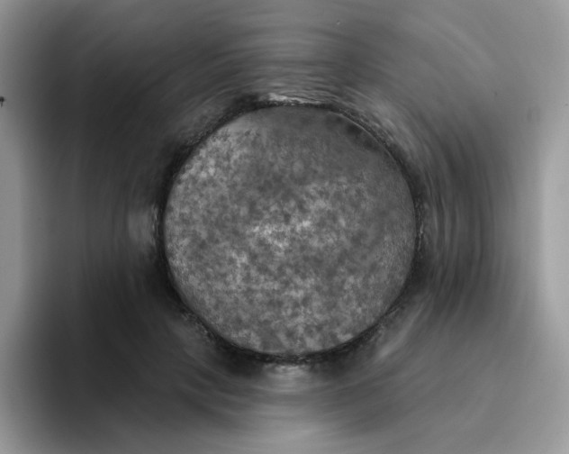 X0000094210649200711091238
