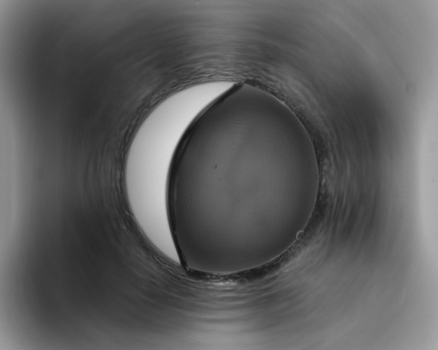 X0000094210650200711091238