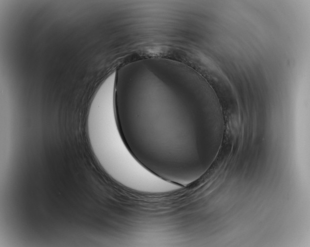 X0000094210651200711091238