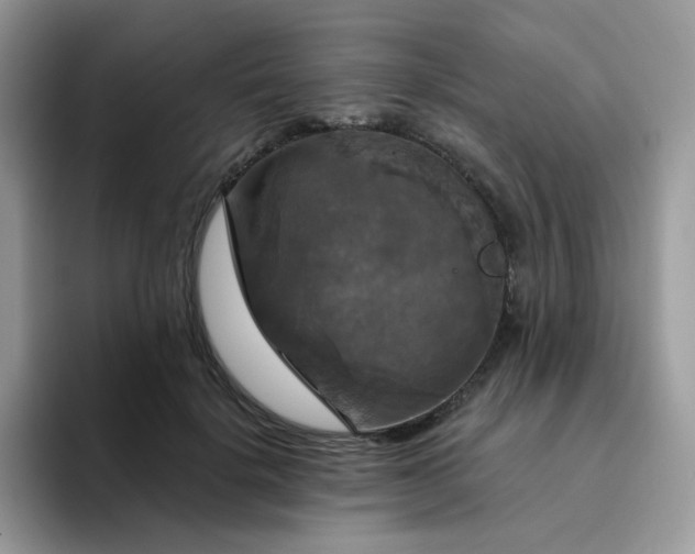 X0000094210652200711091238