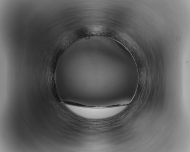 X0000094210653200711091238