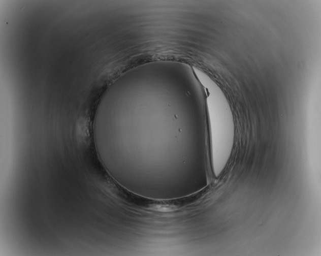 X0000094210654200711091238