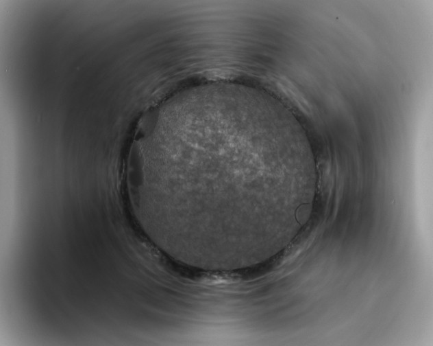 X0000094210655200711091238