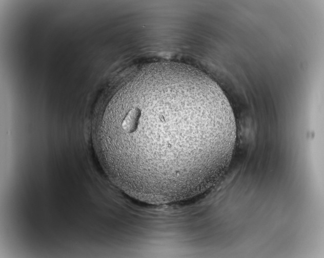 X0000094210656200711091238