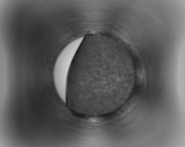 X0000094210657200711091238