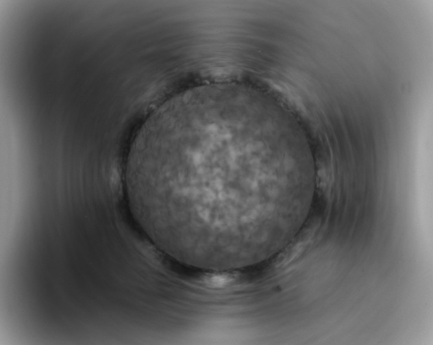 X0000094210662200711091238