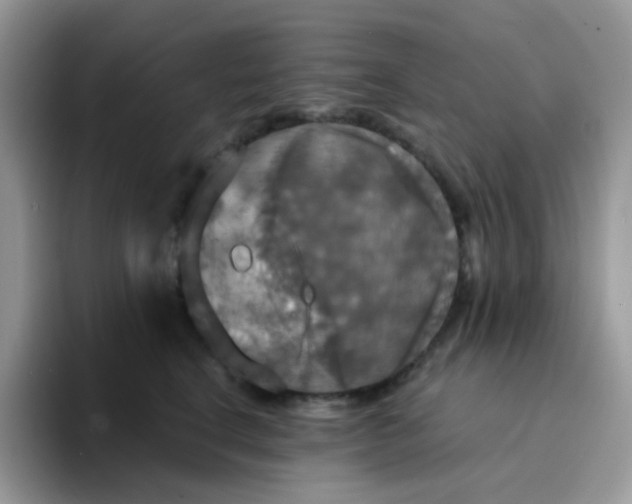 X0000094210664200711091238