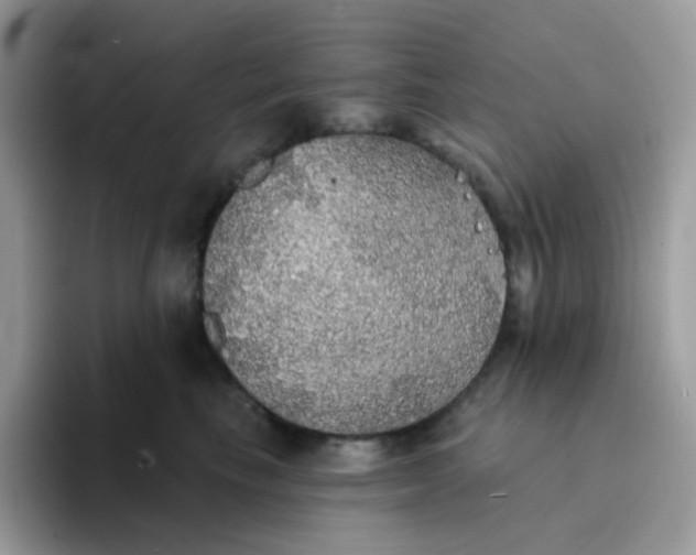 X0000094210665200711091238