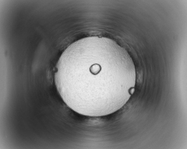X0000094210666200711091238