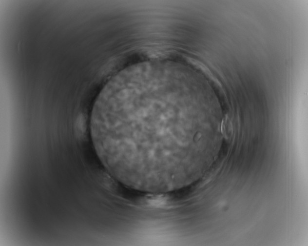 X0000094210667200711091238