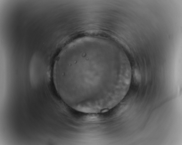 X0000094210668200711091238