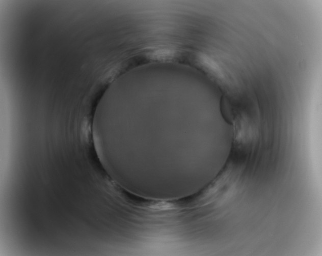 X0000094210669200711091238