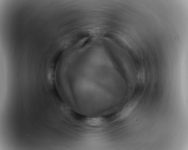 X0000094210671200711091238