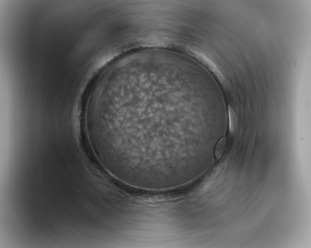 X0000094210675200711091238