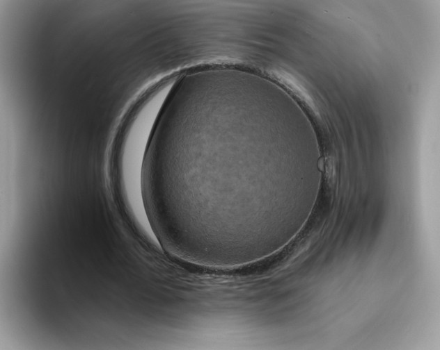 X0000094210676200711091238