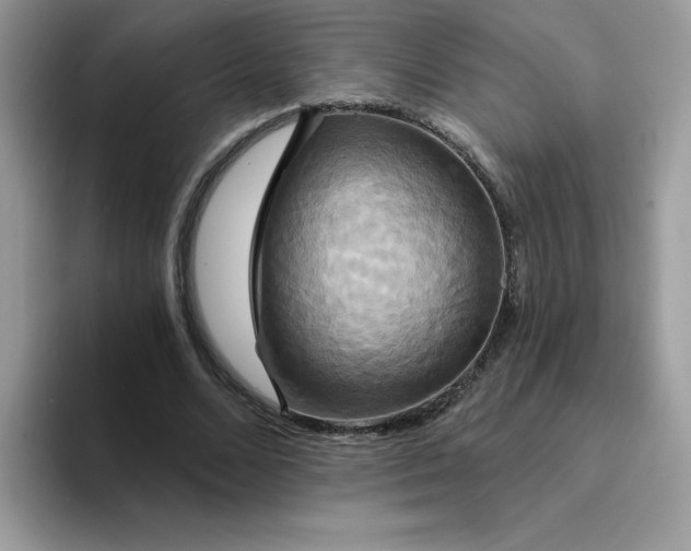 X0000094210680200711091238