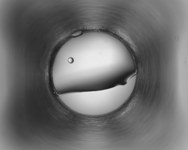 X0000094210681200711091238