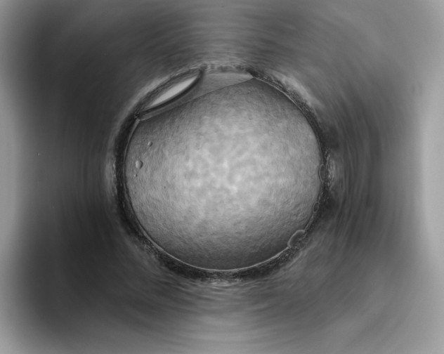 X0000094210684200711091238