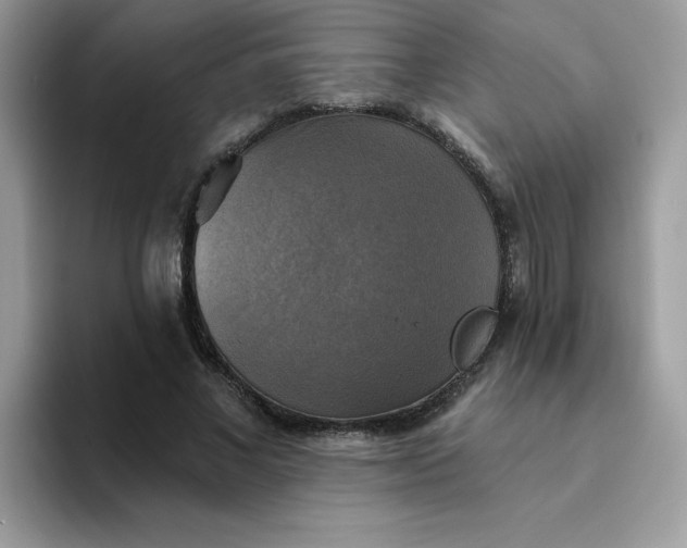 X0000094210685200711091238