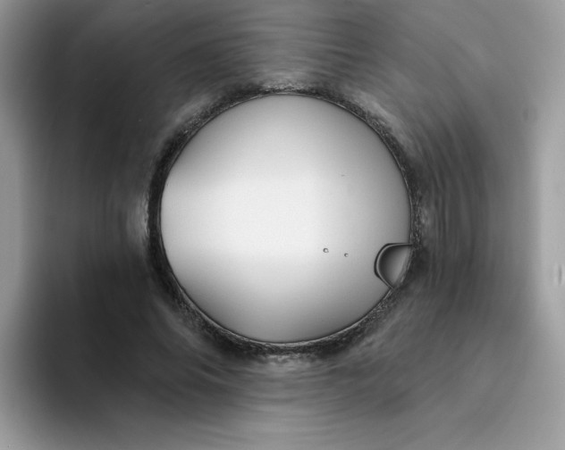 X0000094210686200711091238