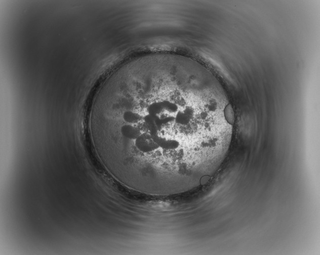 X0000094210687200711091238