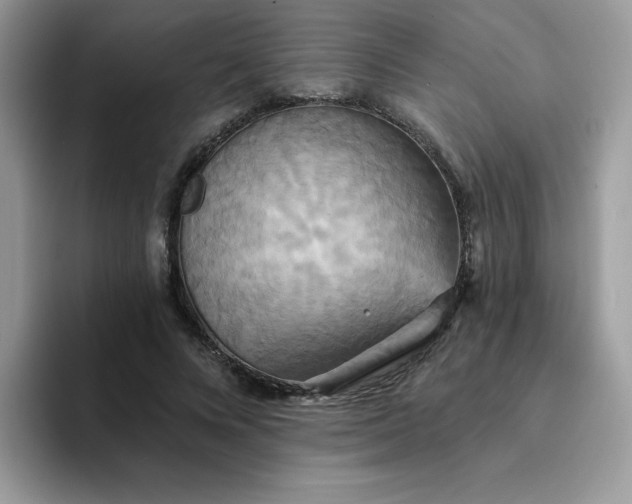 X0000094210688200711091238