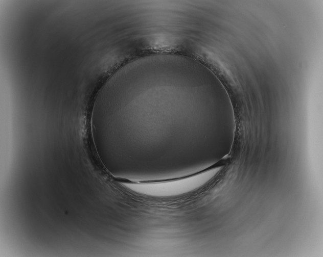 X0000094210689200711091238