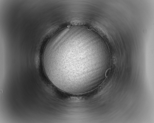 X0000094210690200711091238