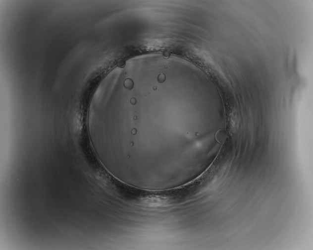 X0000094210691200711091238