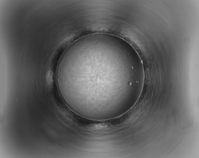 X0000094210692200711091238