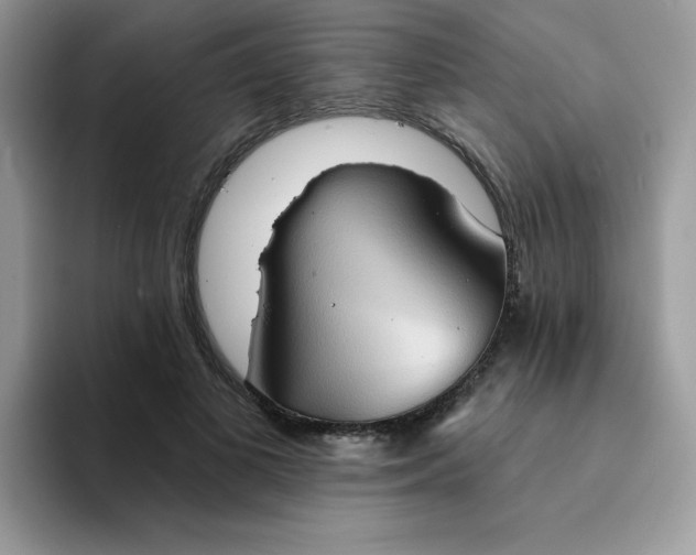 X0000094210693200711091238