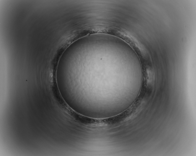 X0000094210696200711091238