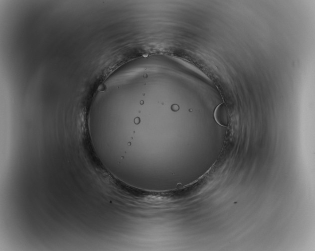 X0000094210699200711091238