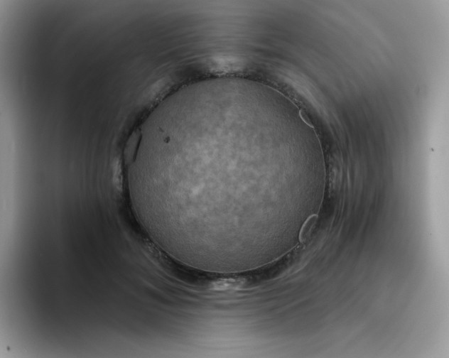 X0000094210700200711091237