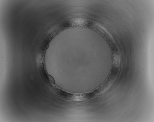X0000094210701200711091237