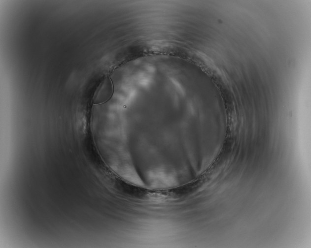 X0000094210703200711091237