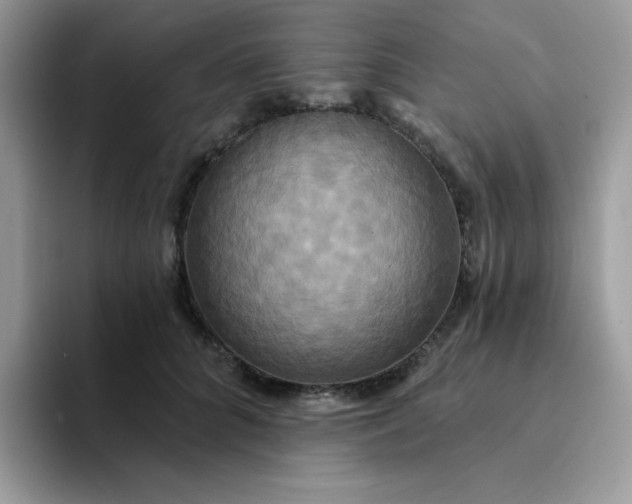 X0000094210704200711091237