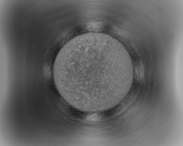 X0000094210705200711091237