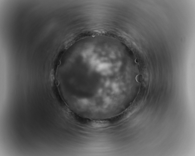 X0000094210707200711091237